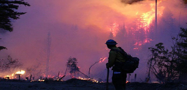 Wildfires_California