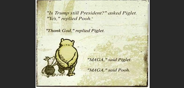 Winnie_the_Pooh_MAGA