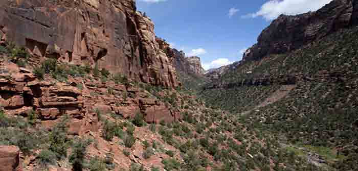 Zion_National_Park_AP_Jud_Burkett