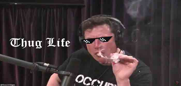 elon_musk_thug_life