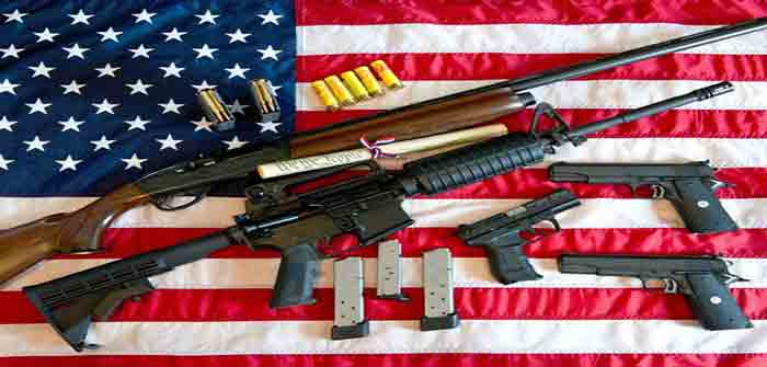 guns_U.S._Constitution_flag_gettyimages_Karen_Bleier