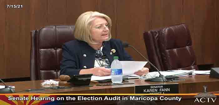 karen_fann_arizona_senate