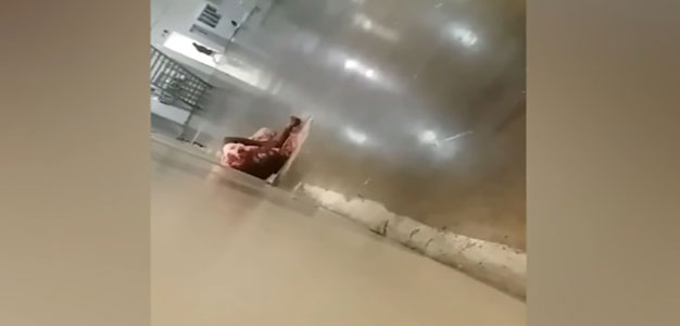 screenshot_04162018_at_1539_PM_EST_SC_Lee_Correctional_Institute