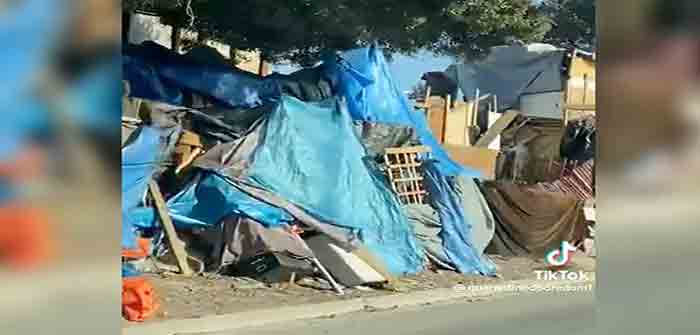 susan_sarandon_california_homeless_camp_video