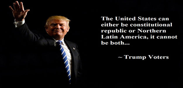 trump-voter-immigration-quote